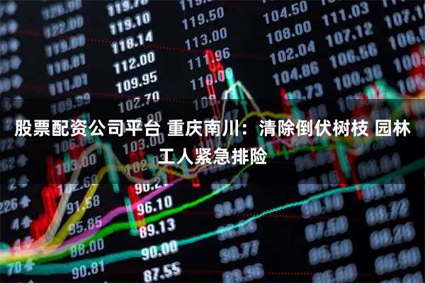 股票配资公司平台 重庆南川：清除倒伏树枝 园林工人紧急排险